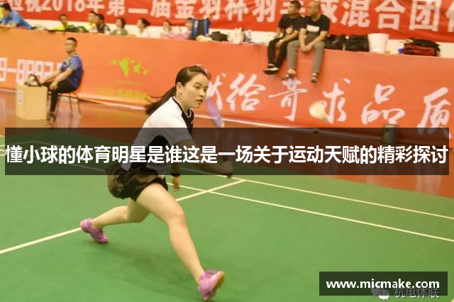 懂小球的体育明星是谁这是一场关于运动天赋的精彩探讨