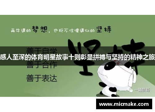 感人至深的体育明星故事十则彰显拼搏与坚持的精神之旅